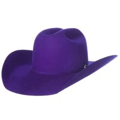 Rodeo King 7X Purple Self Band 4 1/4in. Brim Open Crown Felt Cowboy Hat